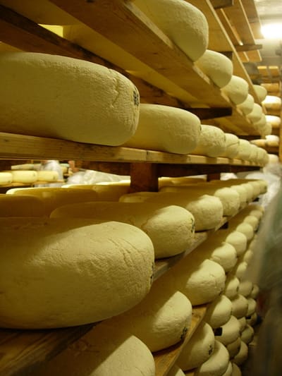 フランスチーズに親しむVol.6ジュラのチーズ＠アトリエハコ西荻窪